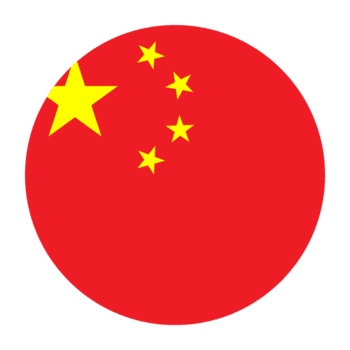 Small China flag marking the Chinese locale option