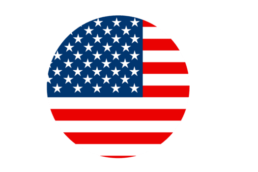 Small United States flag marking the English locale option